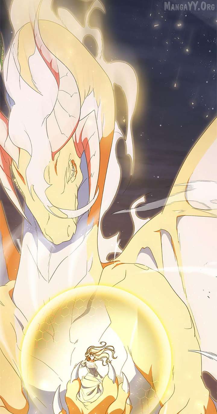 ch 96 79