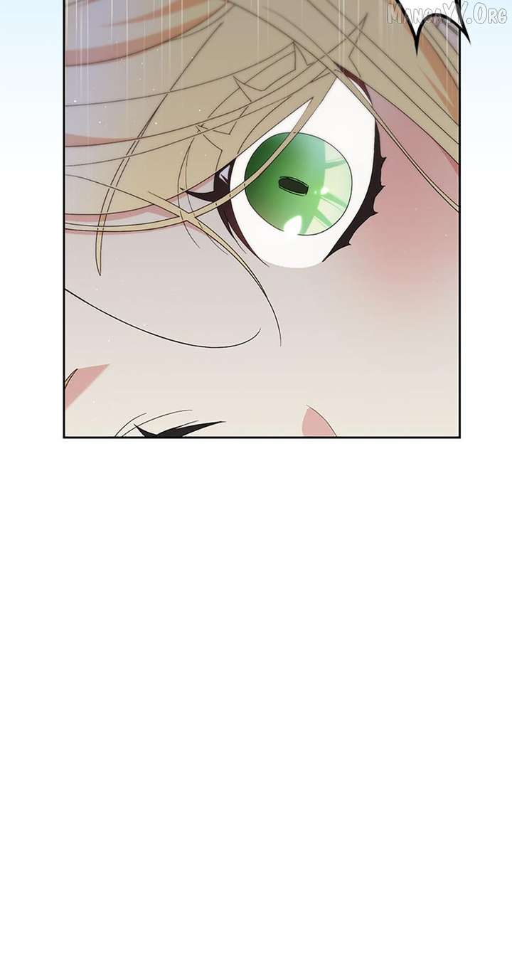 ch 97 49
