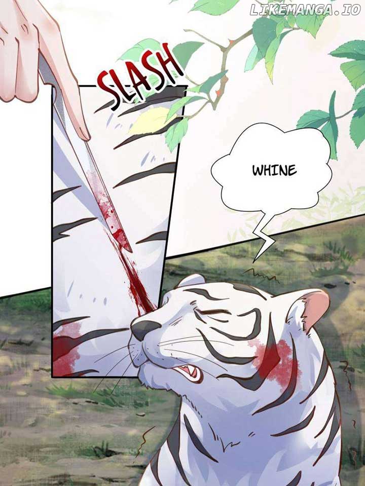 ch 538 17