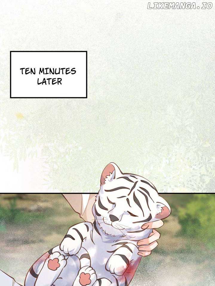 ch 538 19