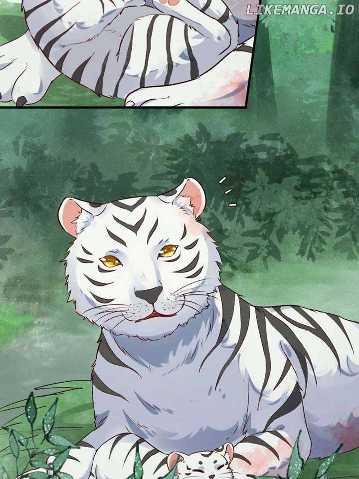 ch 593 6