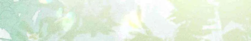276ecc0b82bd