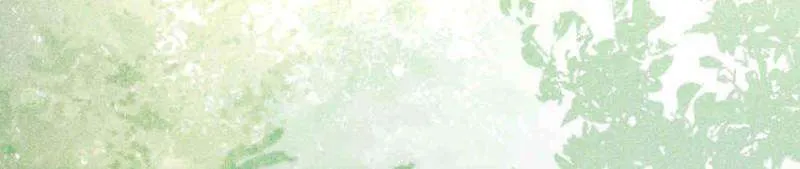 dc1c7e771a96