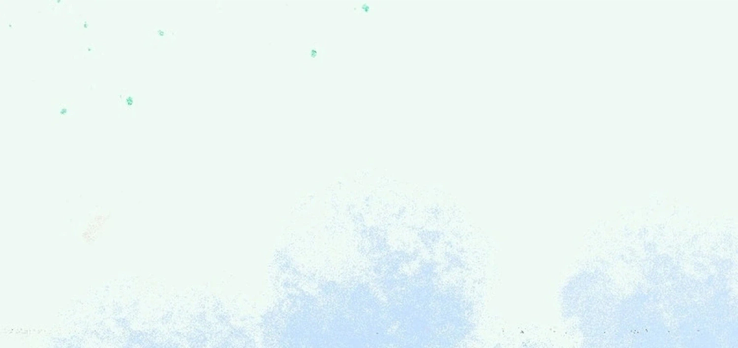 faefeff8aef2