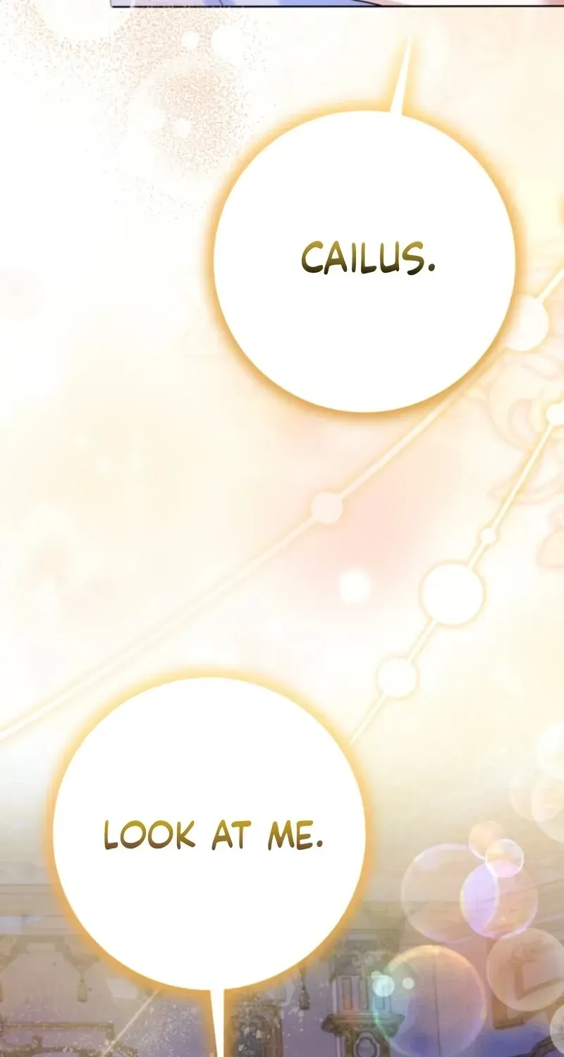 fcd172146287