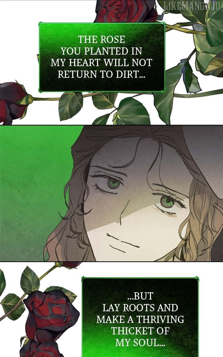 81