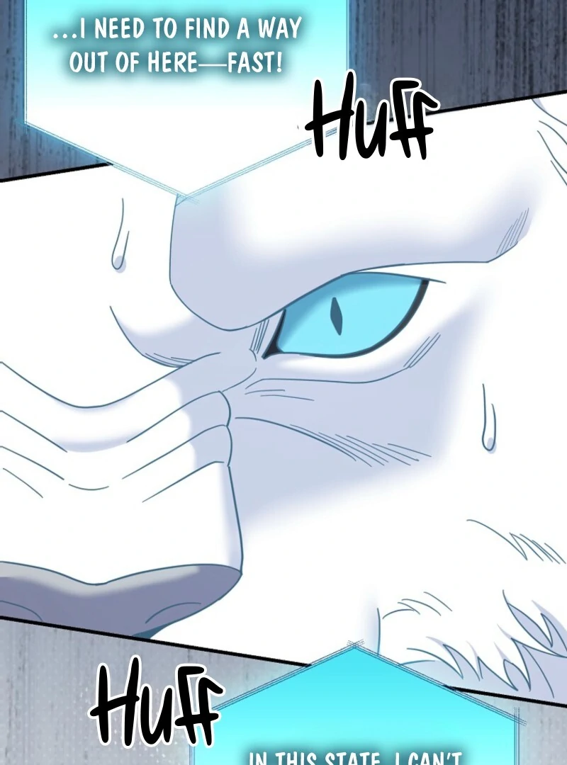 My Villain Fiancé is Interfering With My Flowery Path Chapter 68 481 087