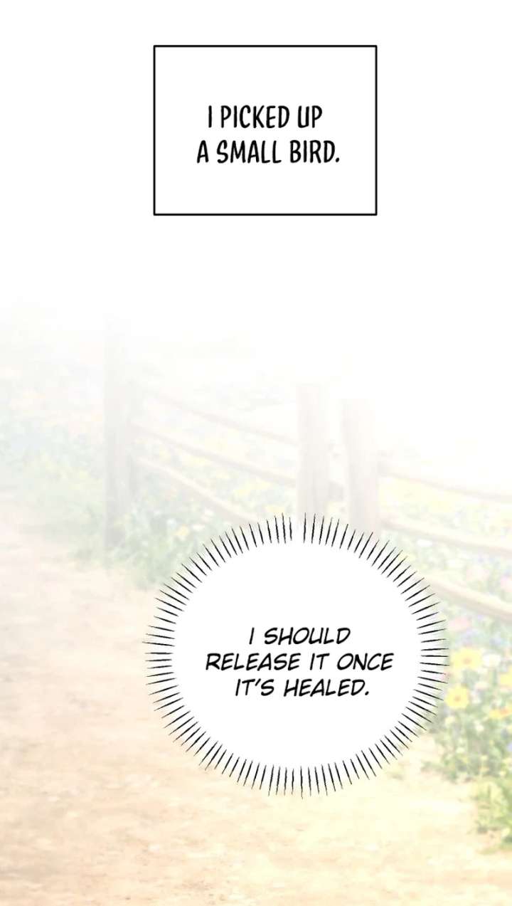 I Adopted a Male Lead From a Prison Shelter Chapter 104 120 ch 104 12