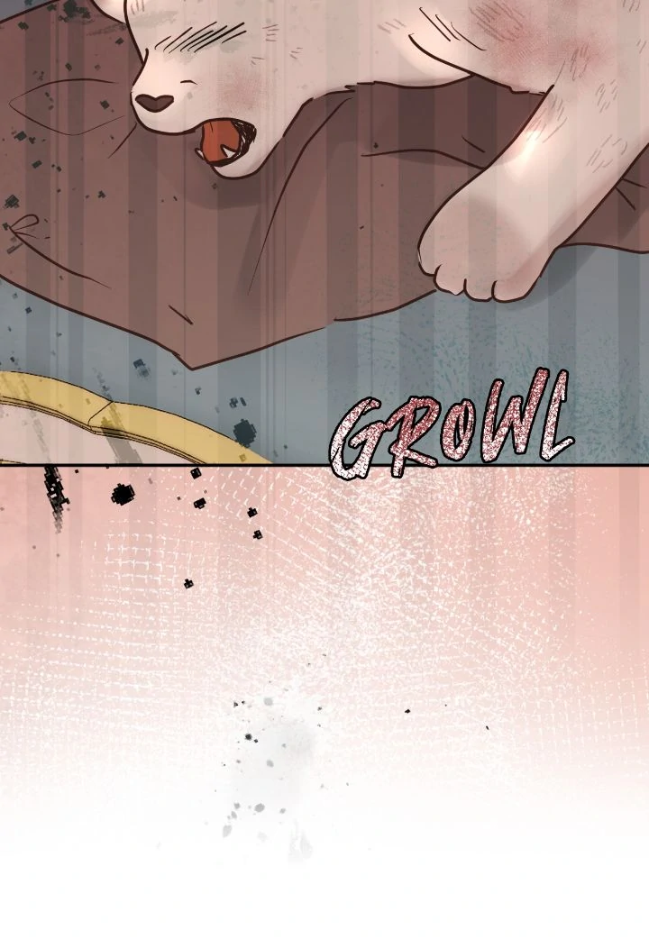 ch 68 37