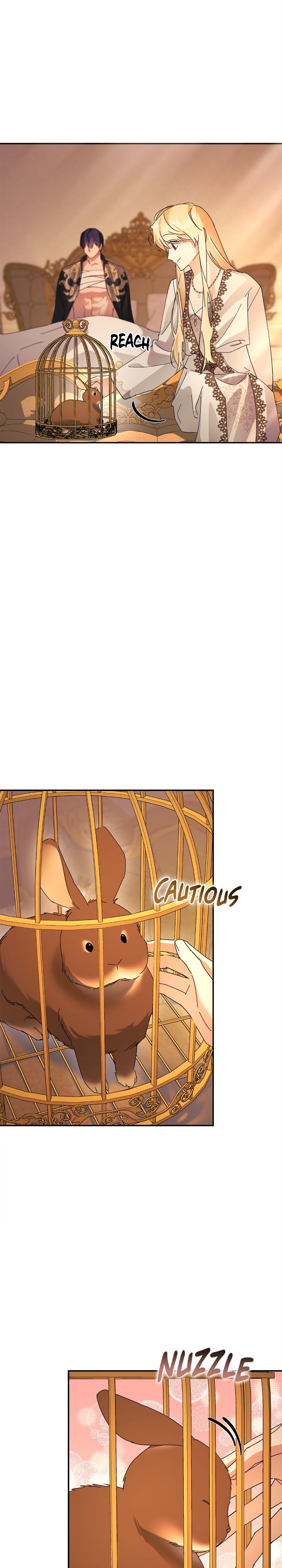 She’s a Villainess, but Her Husband Is Handsome Chapter 30 146 11