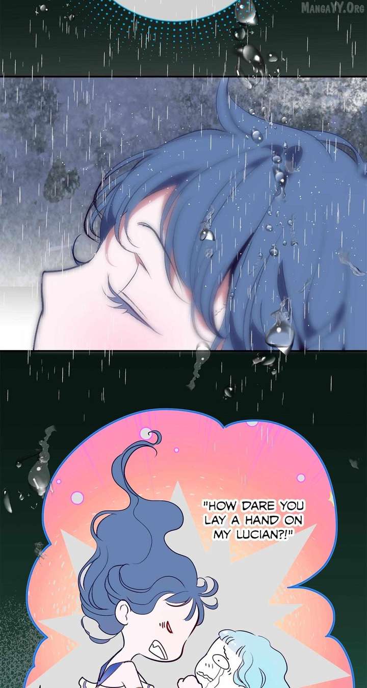 ch 71 61