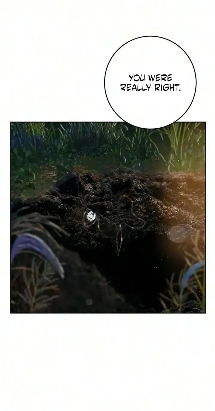 567ccf99b36a