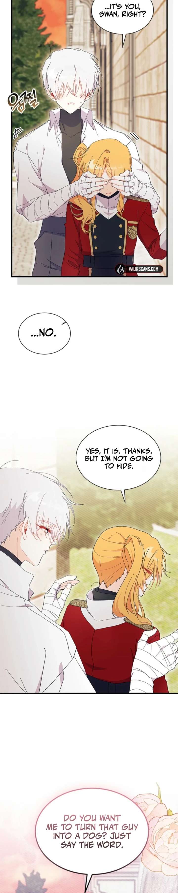 ch 100 28