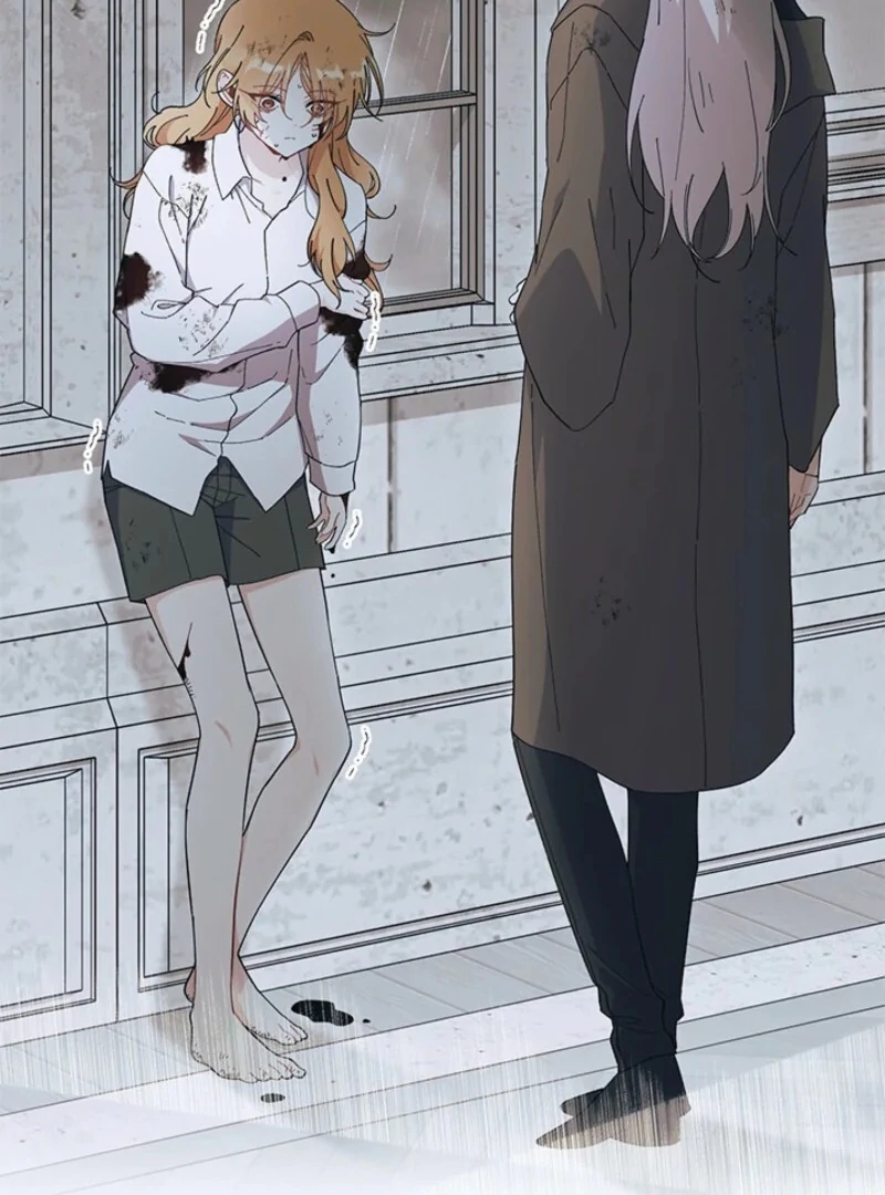 ch 88 43
