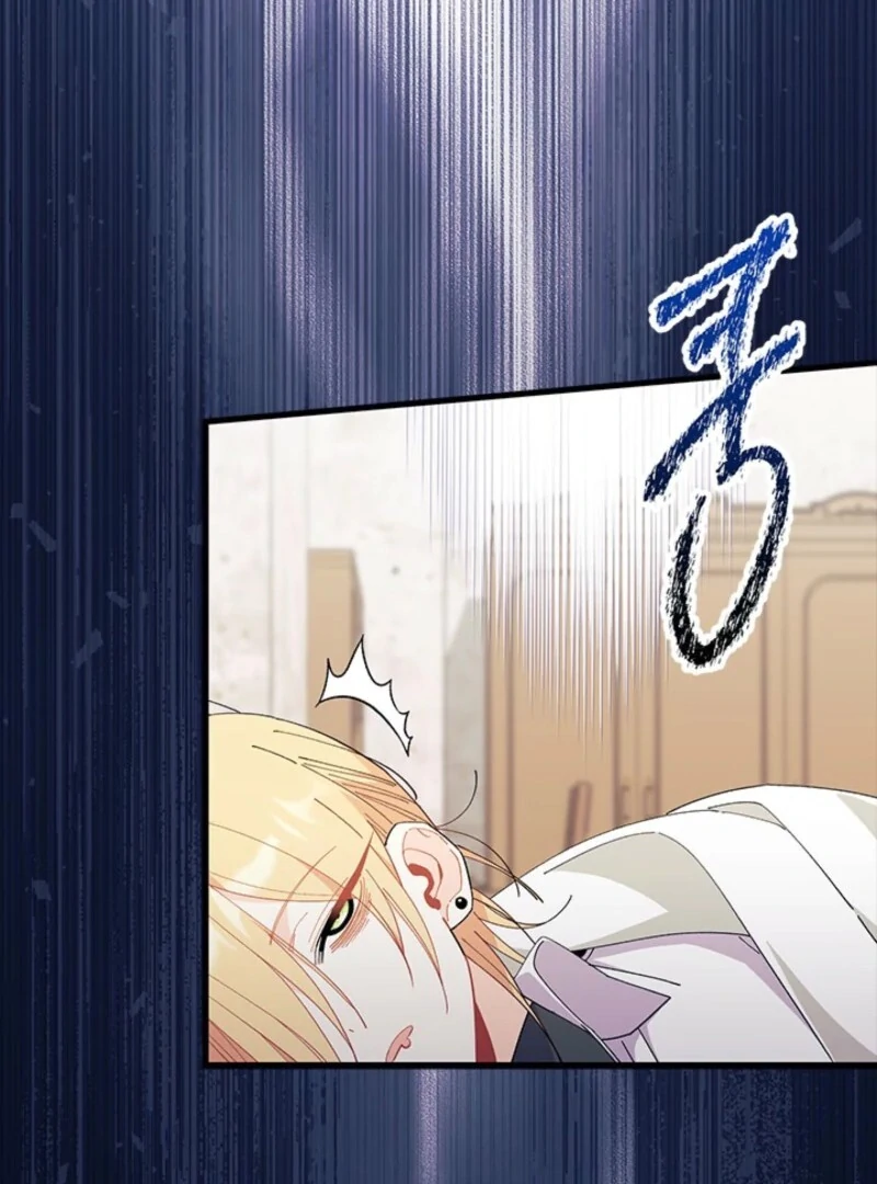 ch 88 85