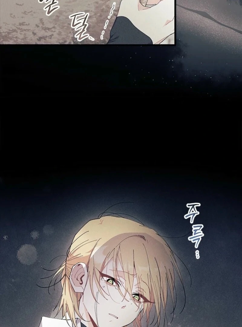 ch 89 19