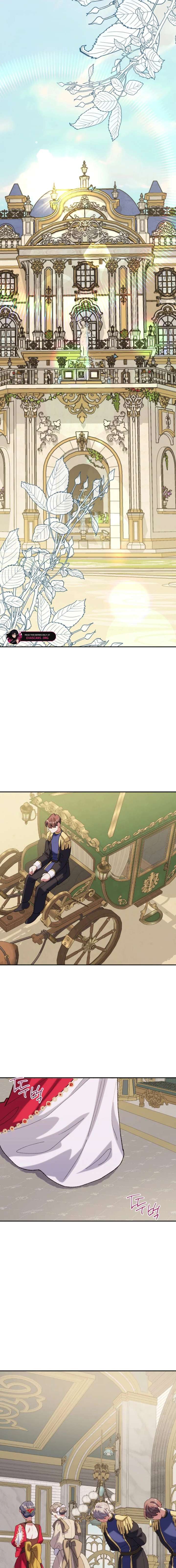 ch 49 14