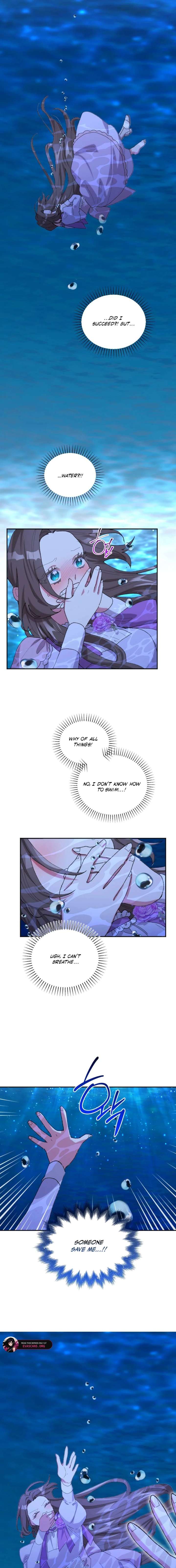 ch 49 4