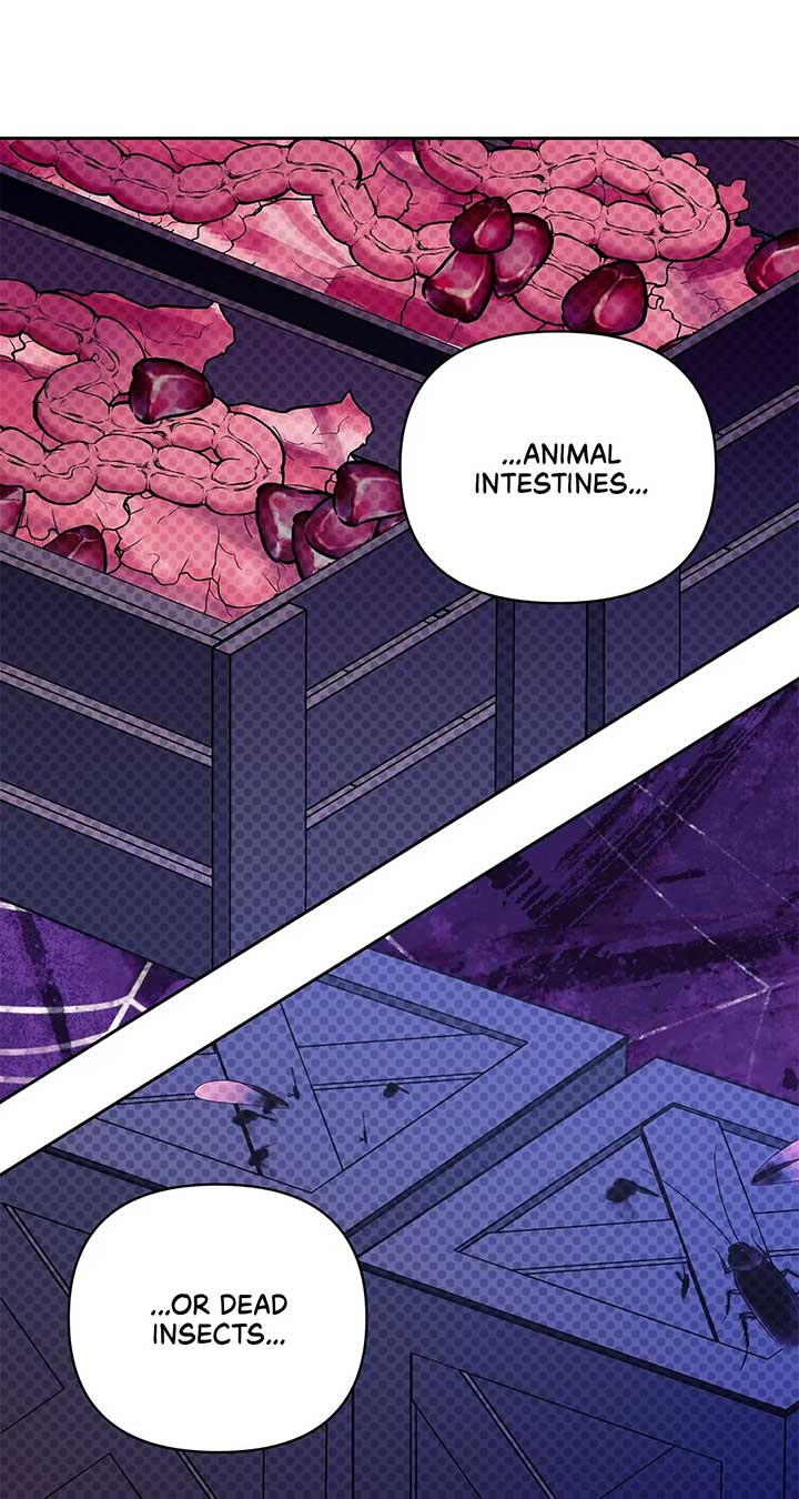 ch 55 77