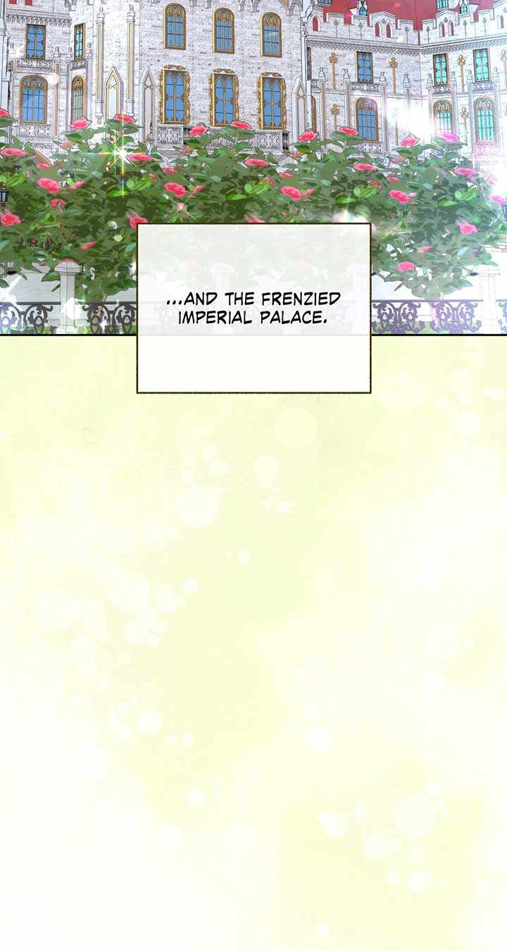 ch 65 81