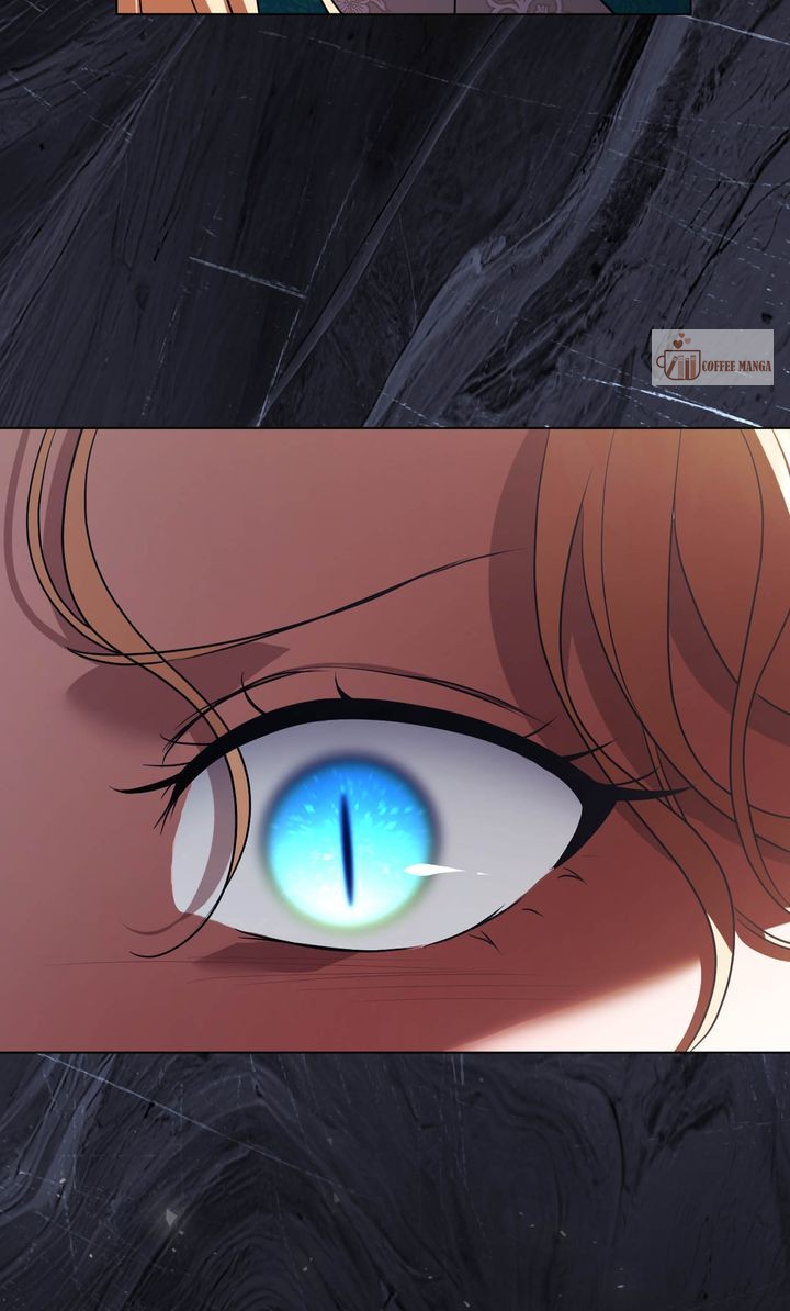 ch 95 38
