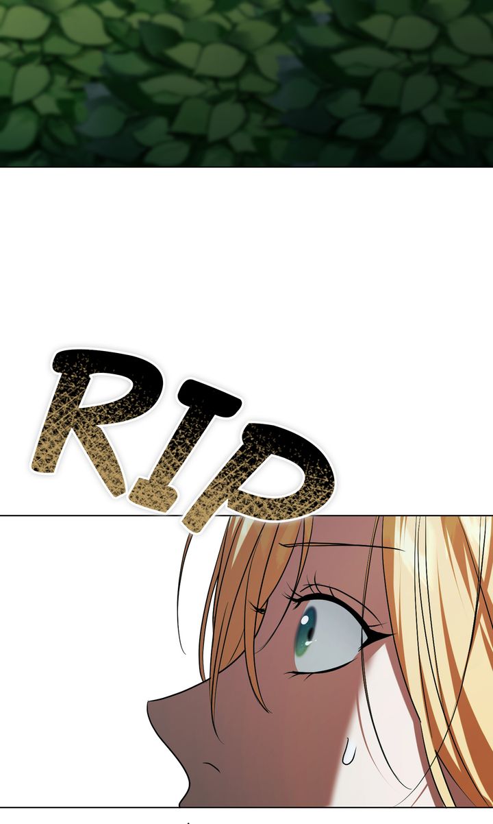 ch 96 67