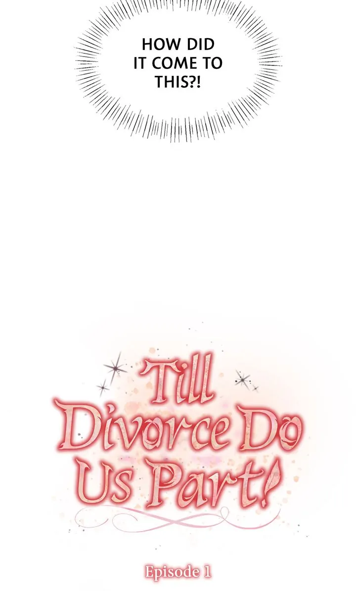 Till Divorce Do Us Part! Chapter 1 260 25