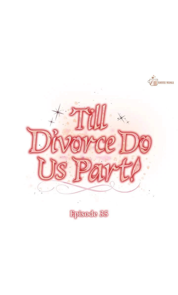 Till Divorce Do Us Part! Chapter 35 233 23