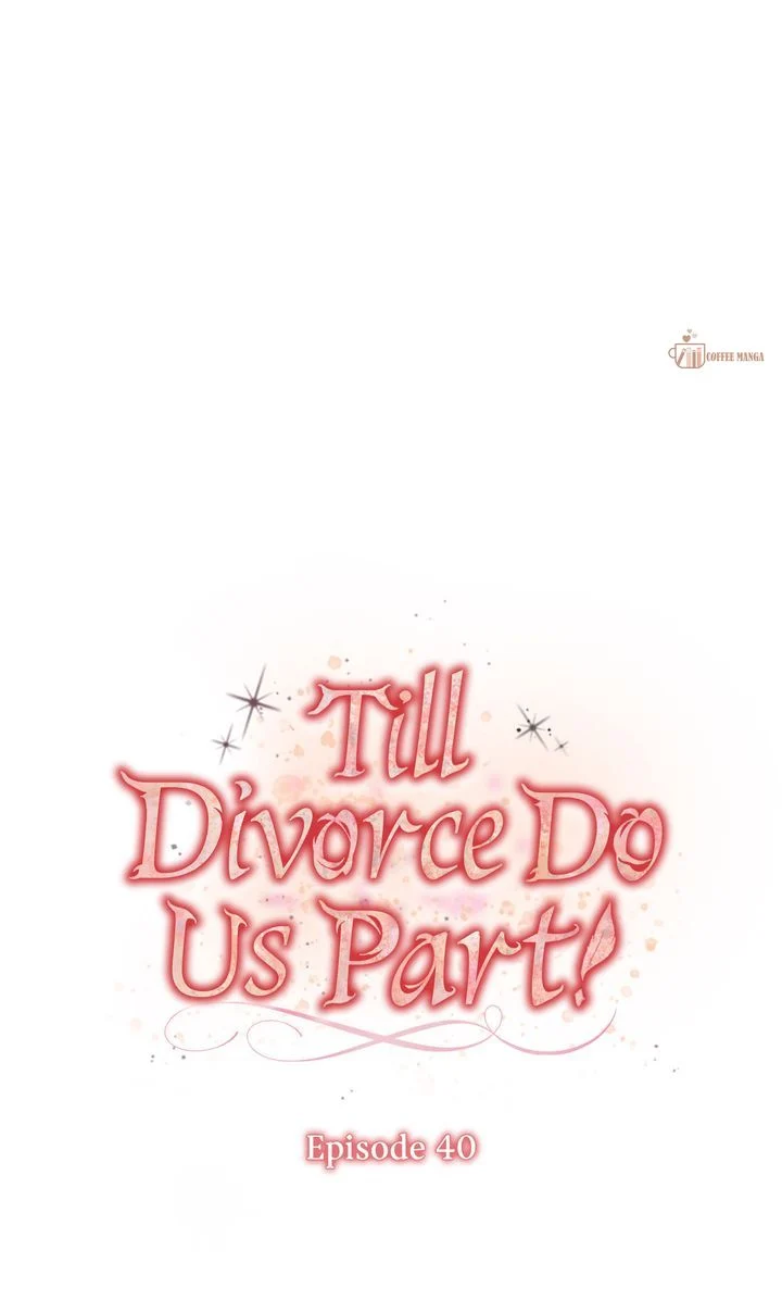 Till Divorce Do Us Part! Chapter 40 257 16