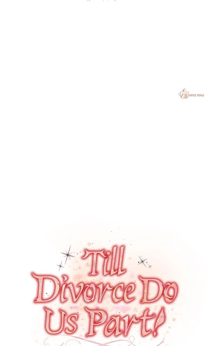 Till Divorce Do Us Part! Chapter 46 288 38