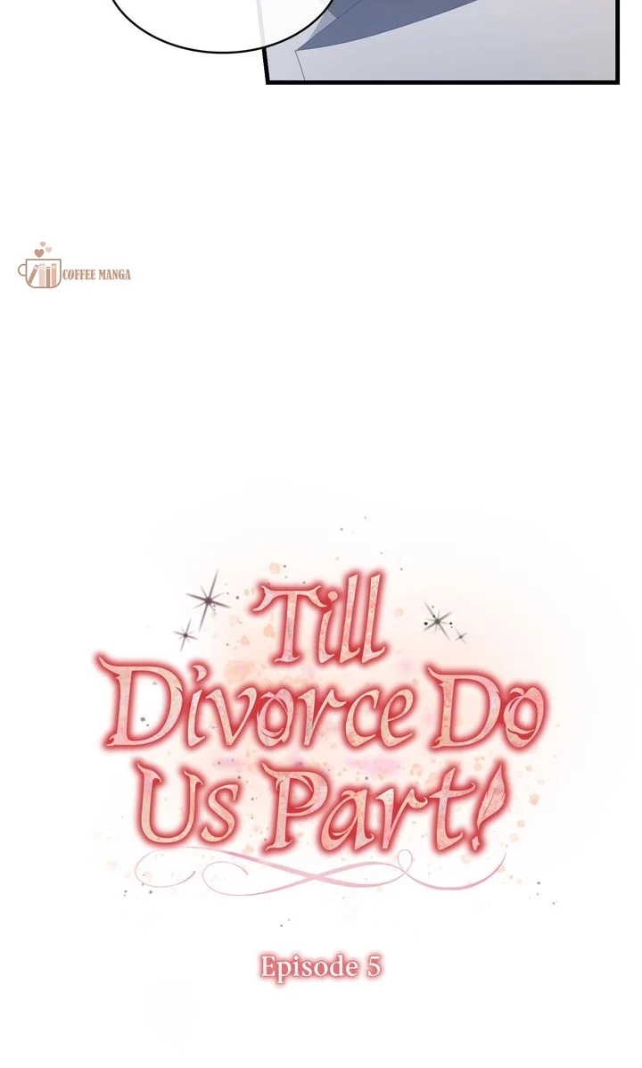 Till Divorce Do Us Part! Chapter 5 249 20