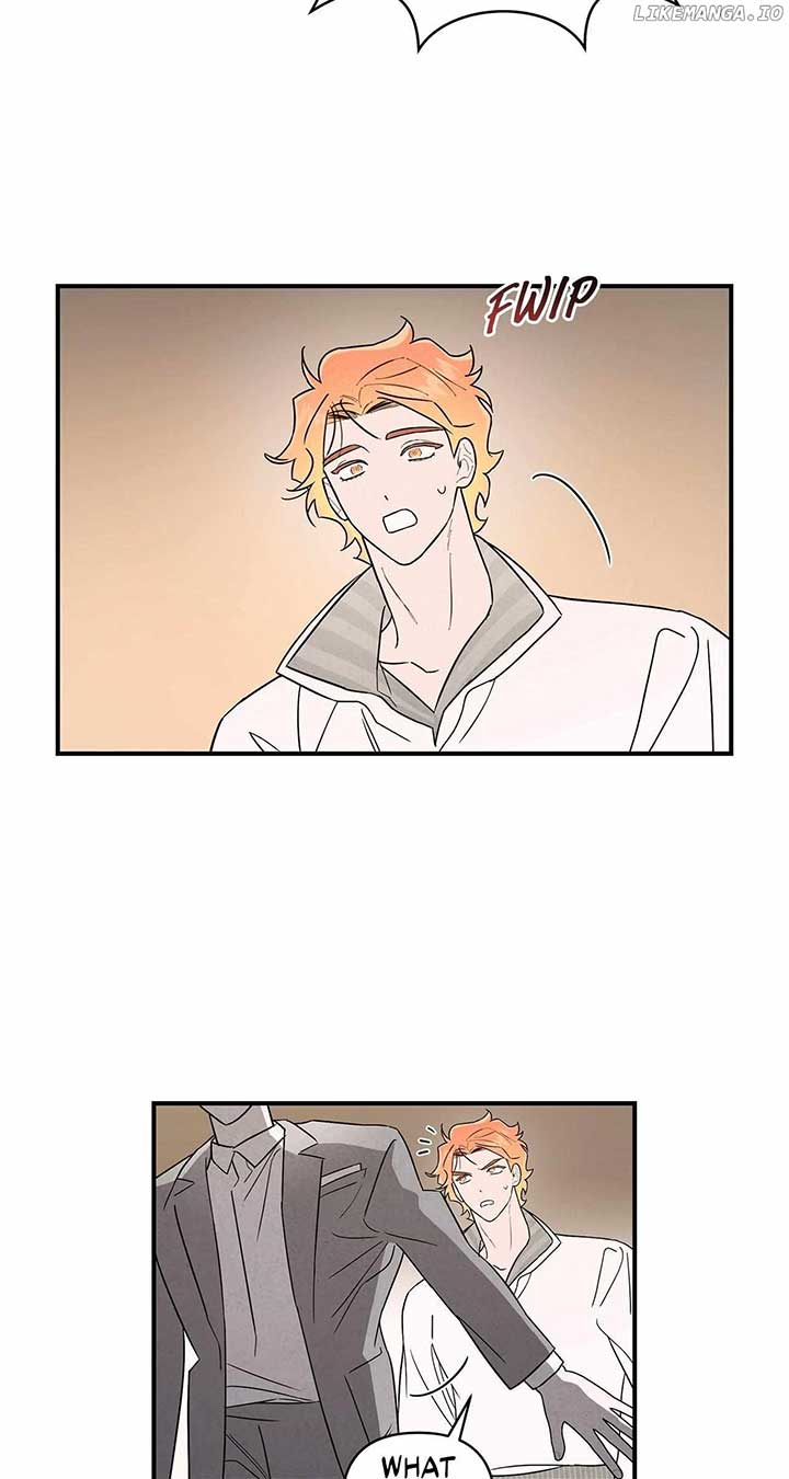 ch 28 11