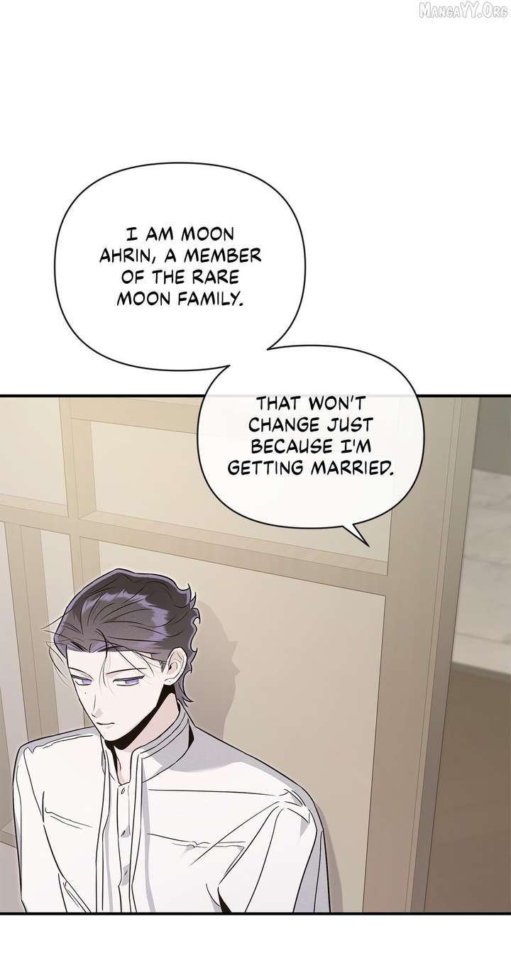 My Younger Sister Chooses Me Tonight Chapter 61 252 ch 61 21