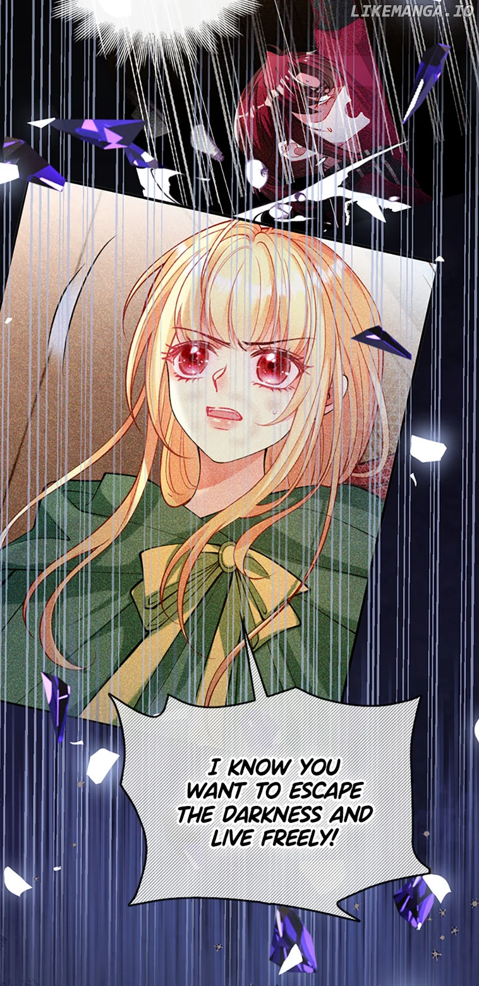 The Adopted Daughter Saves the World Chapter 55 219 08