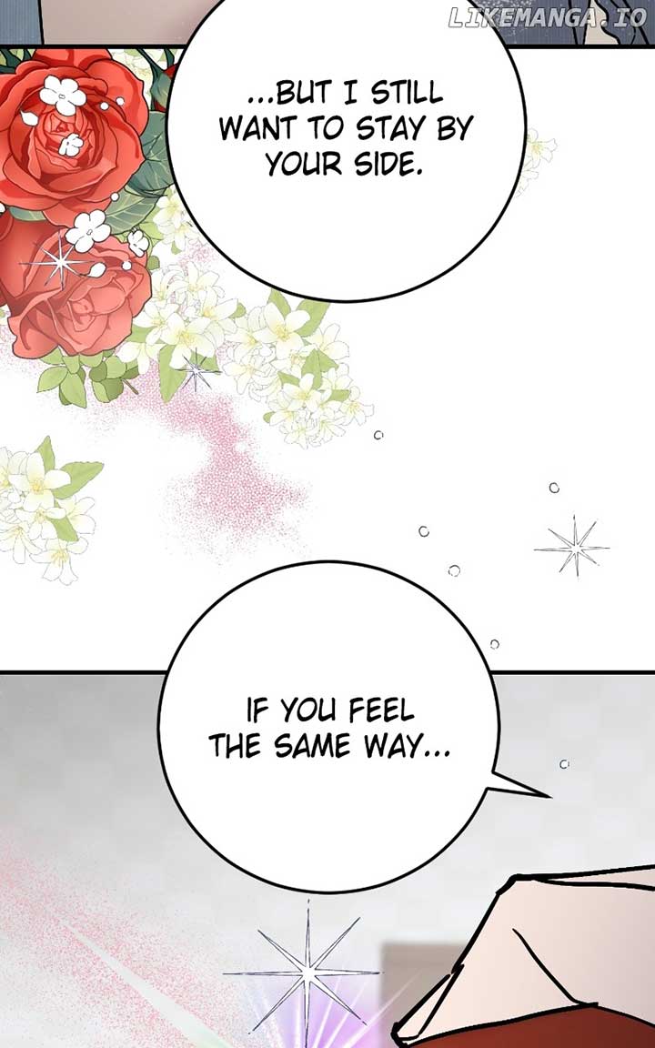 ch 85 37