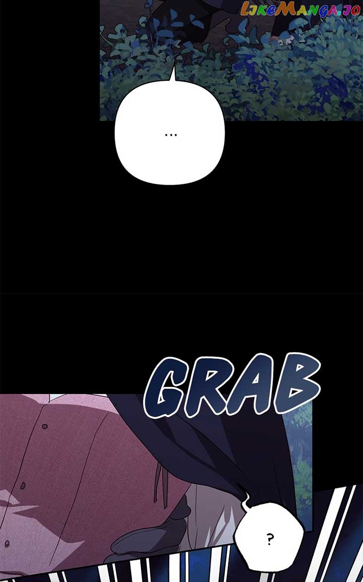 81