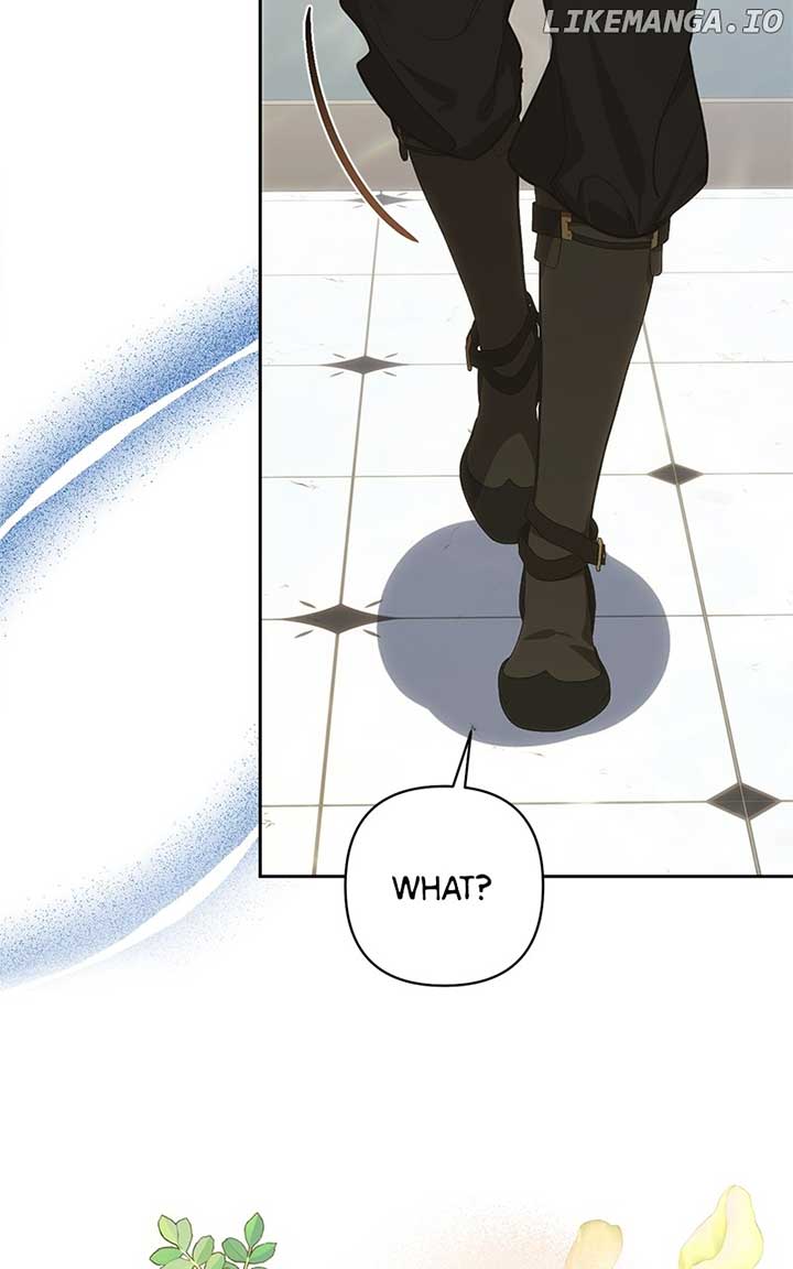 ch 196 14