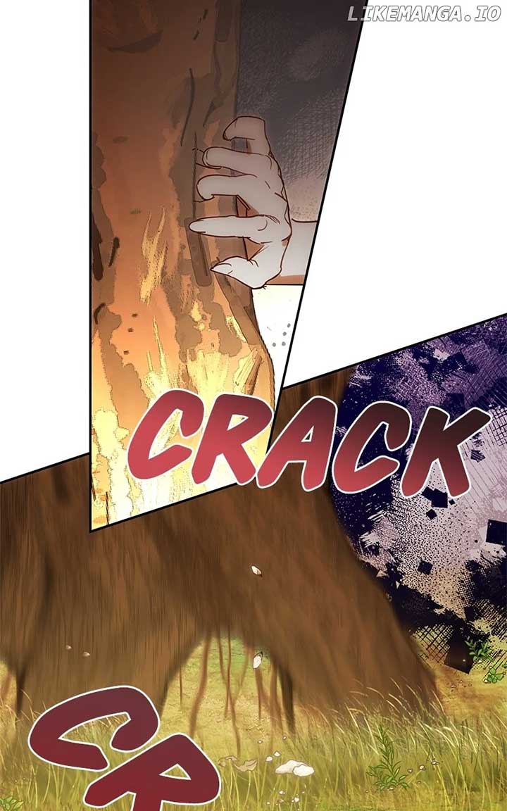ch 203 19