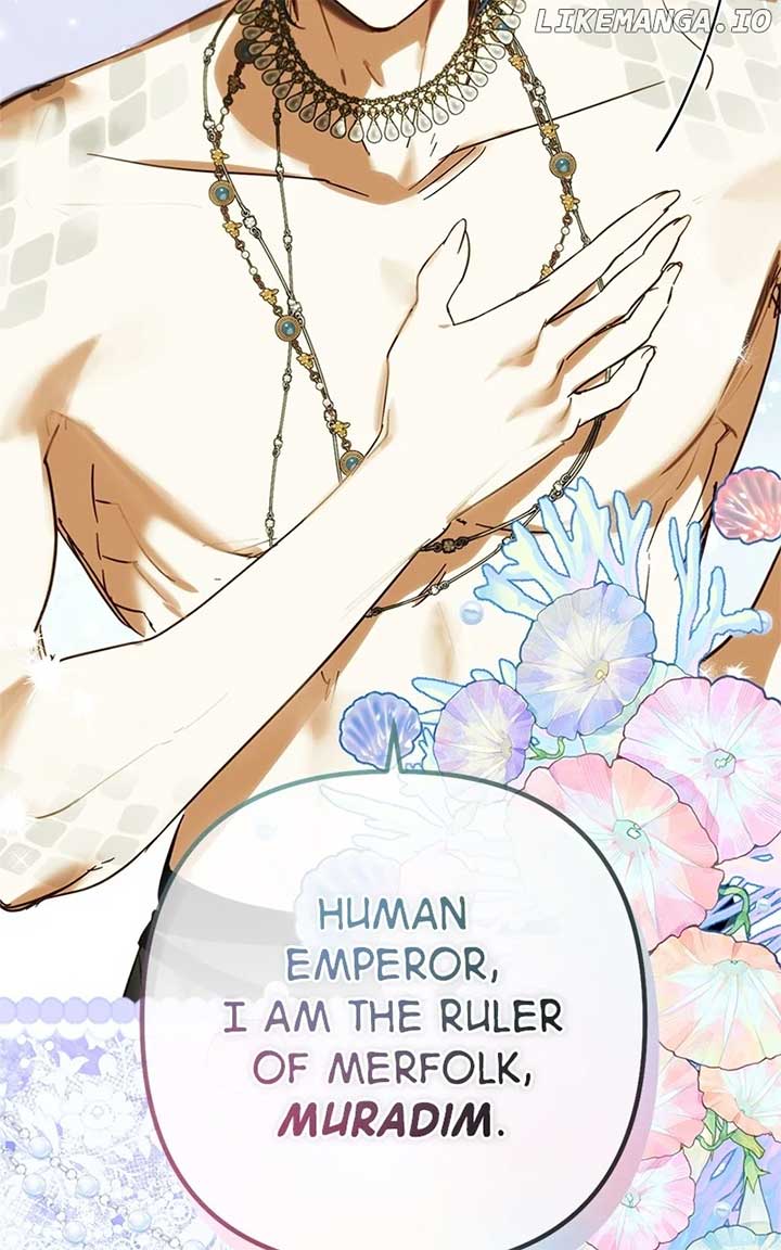 ch 204 143