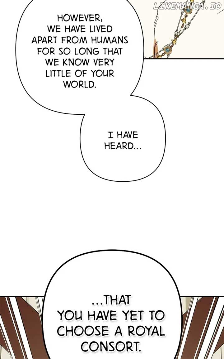 ch 204 154