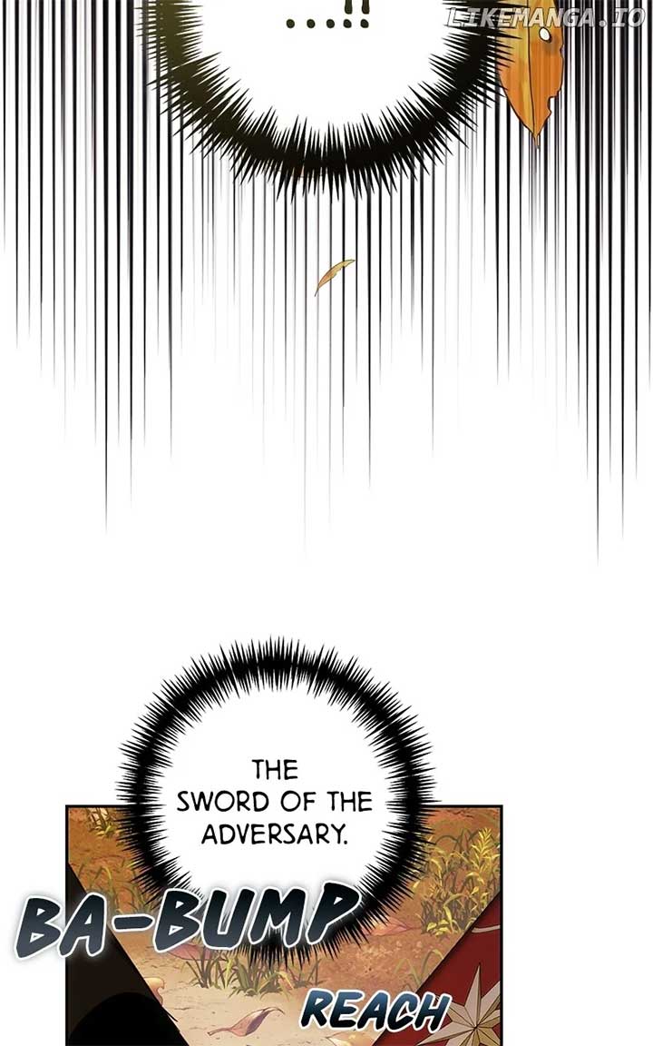 ch 204 27