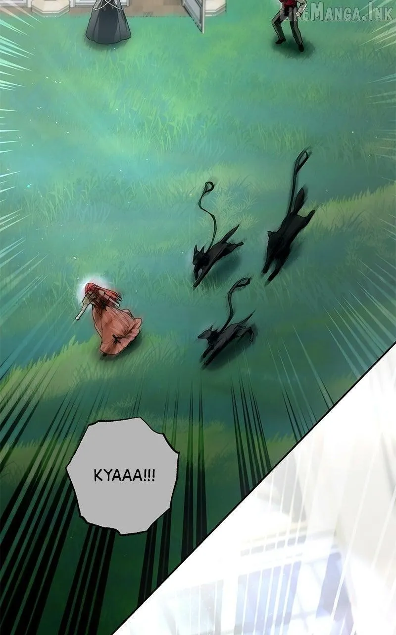 24c86c36ac65