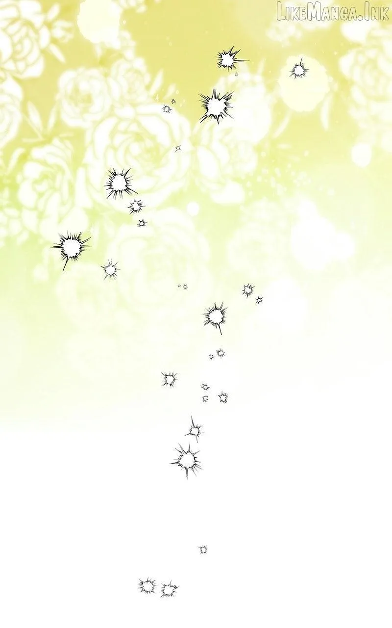 b6c80362f94d