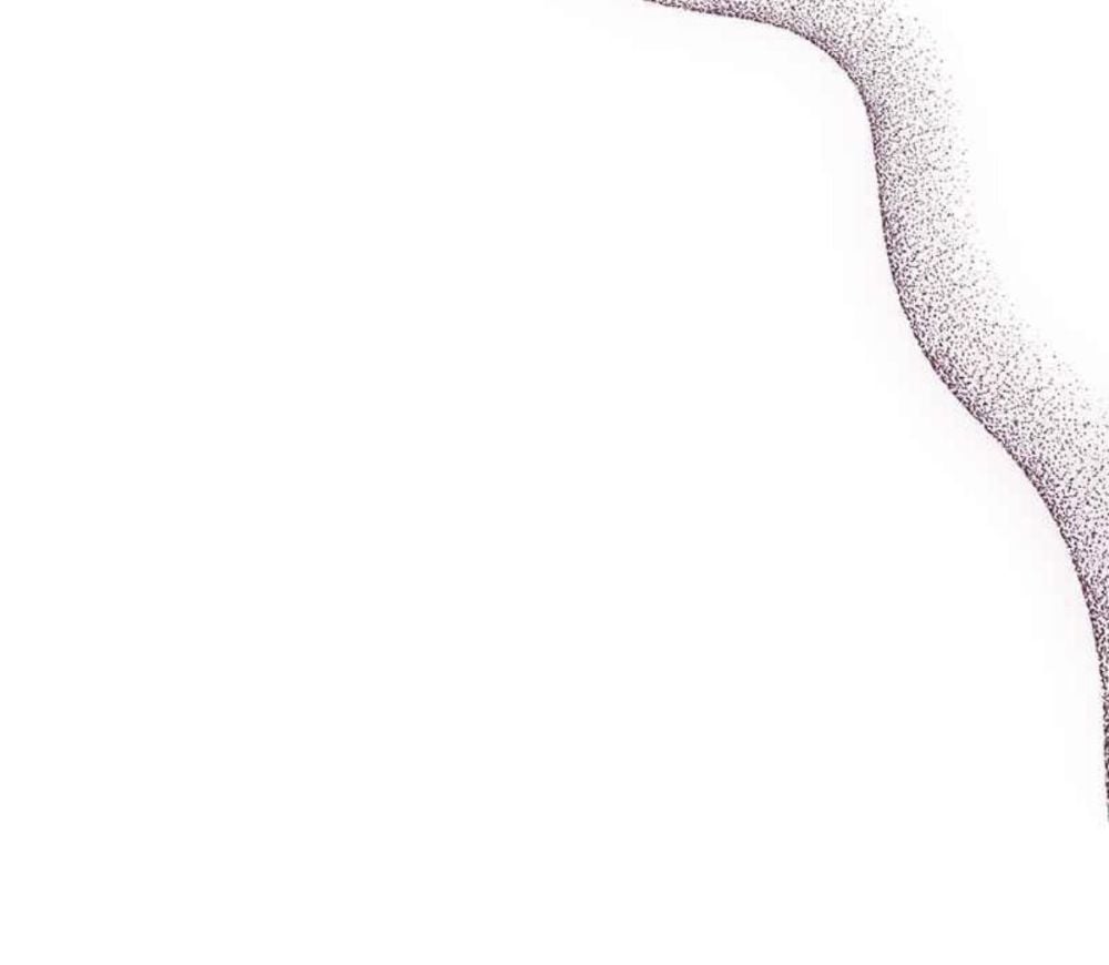 53
