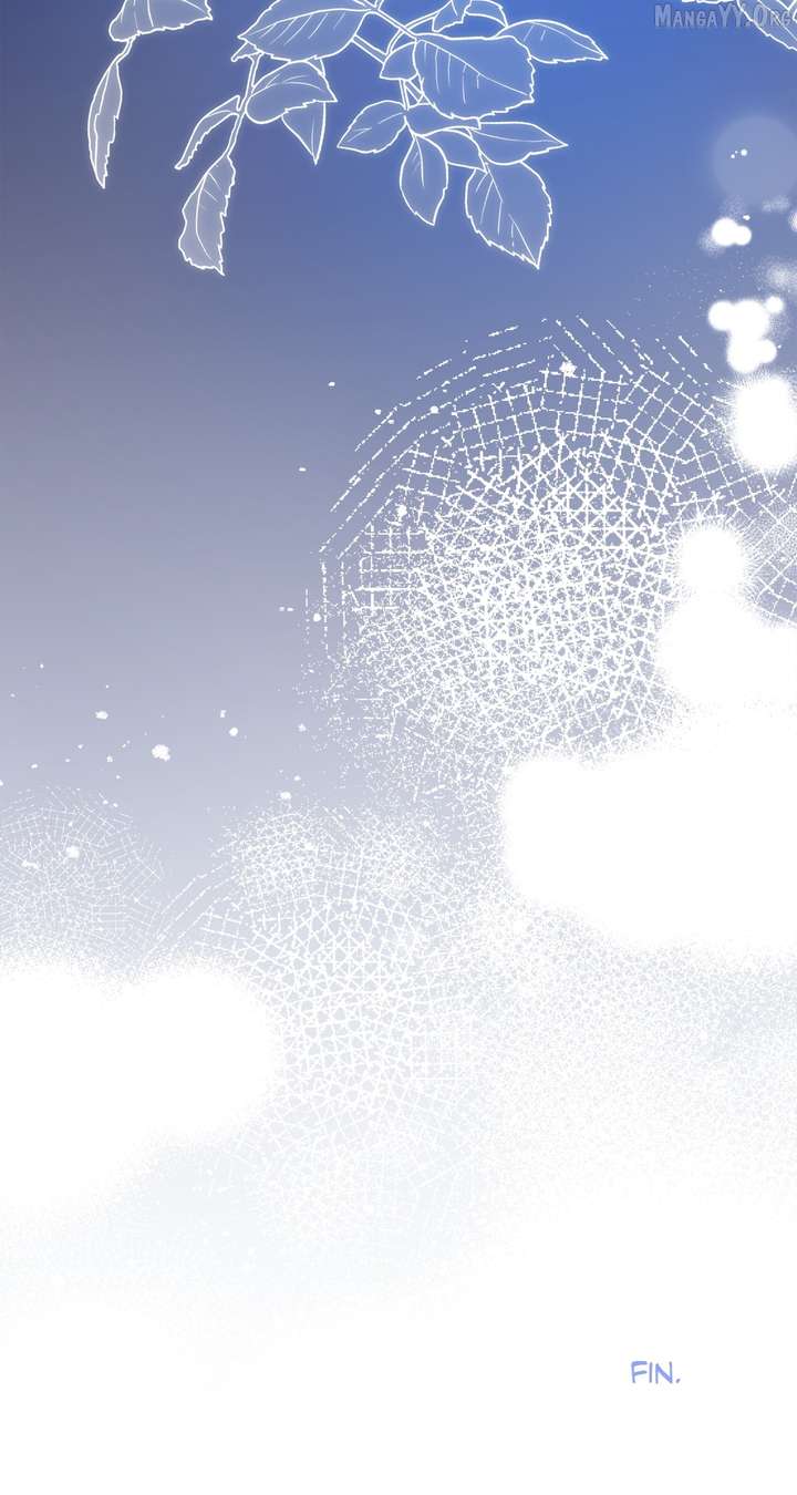 ch 100 74