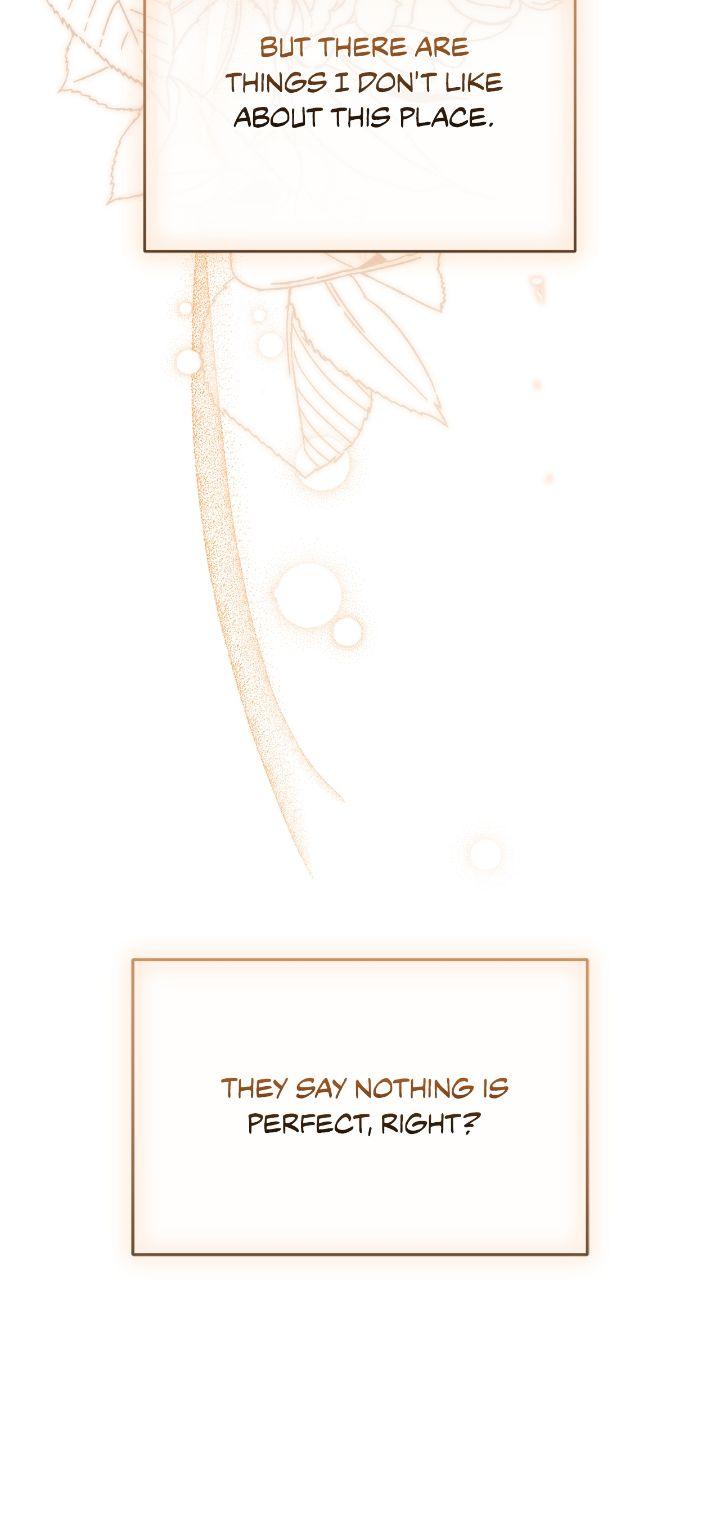 How To Reject My Obsessive Ex-Husband Chapter 49 241 5