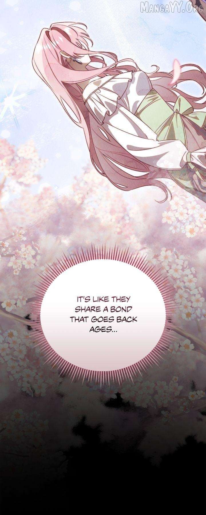 How To Reject My Obsessive Ex-Husband Chapter 84 214 45