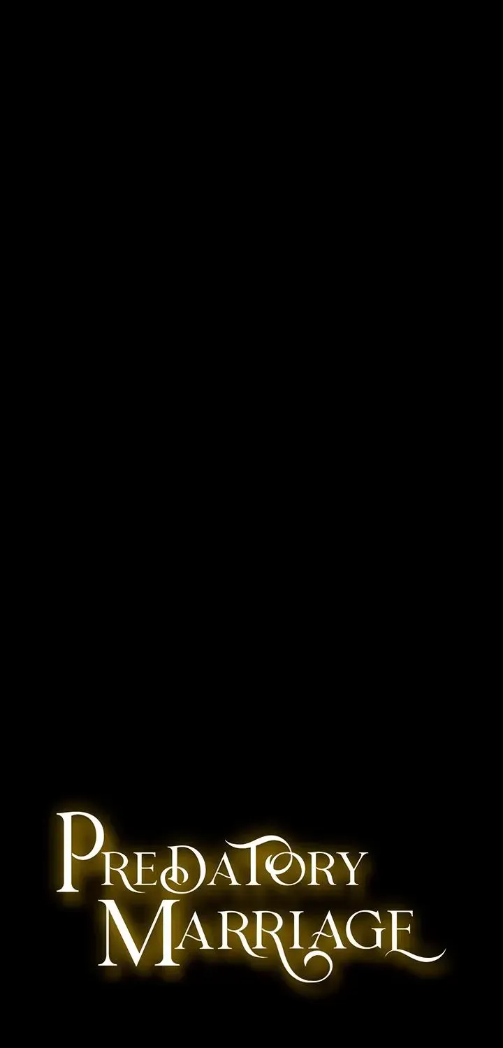 231133579b47 6 webp