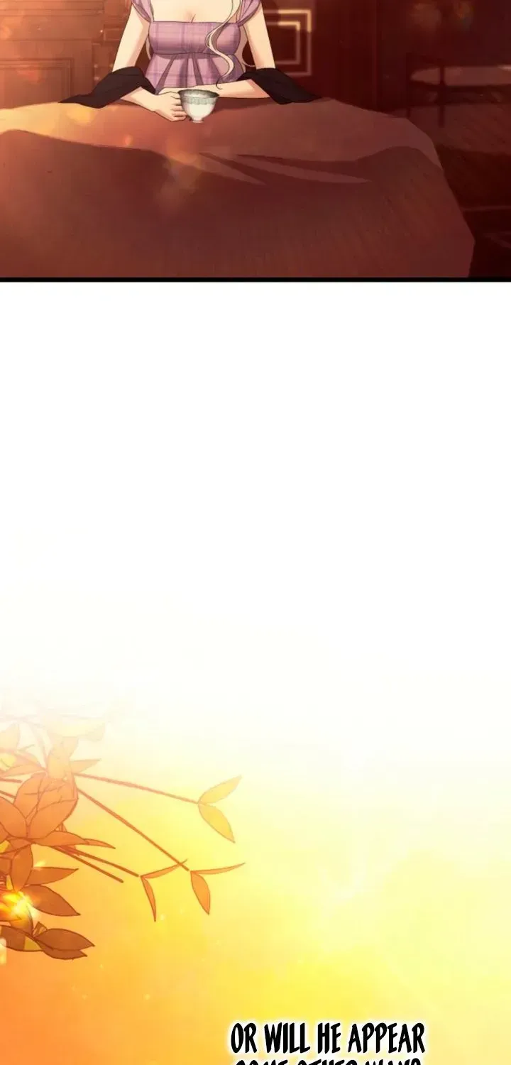 2704f8796c93 14 webp