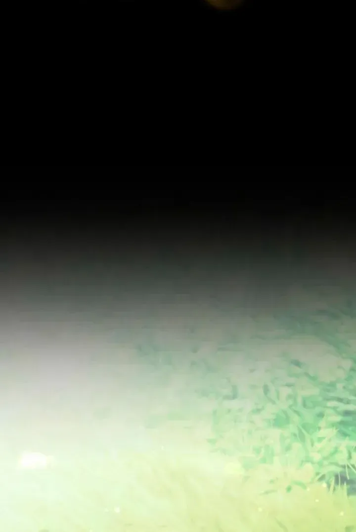 caa53554b4b7 8 webp